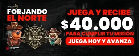Cashback Diario Instantáneo